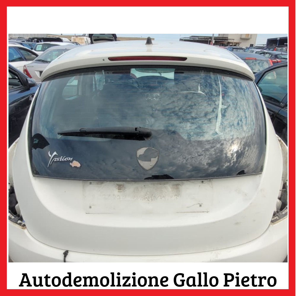 Cofano Post. 51923964 Usato