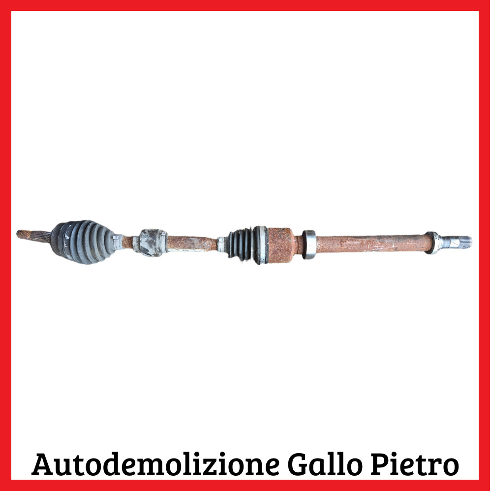 Semialbero Ant. Compl. Destro 391003037R Usato