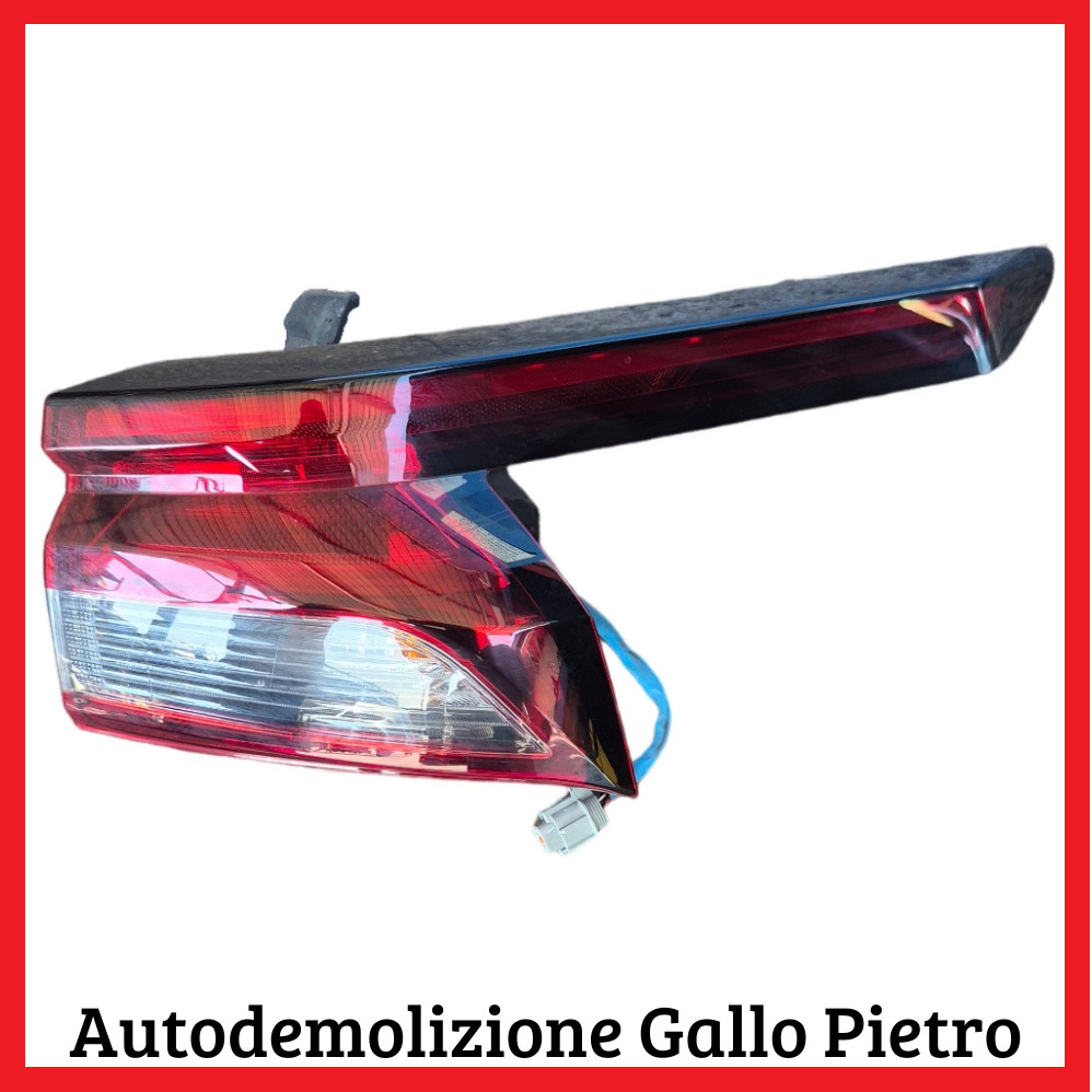 Fanale Post. Destro 265506UA0A Usato