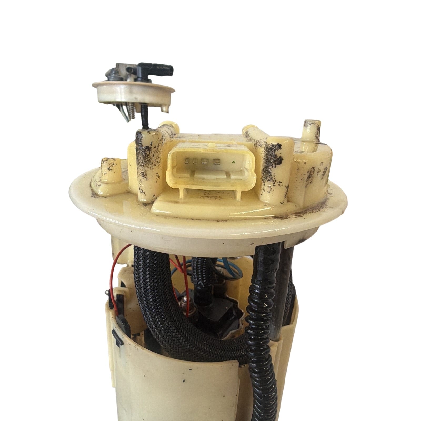 Miniatura 7