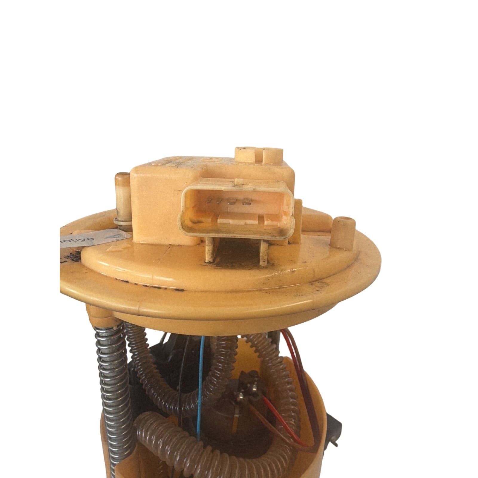 Miniatura 5