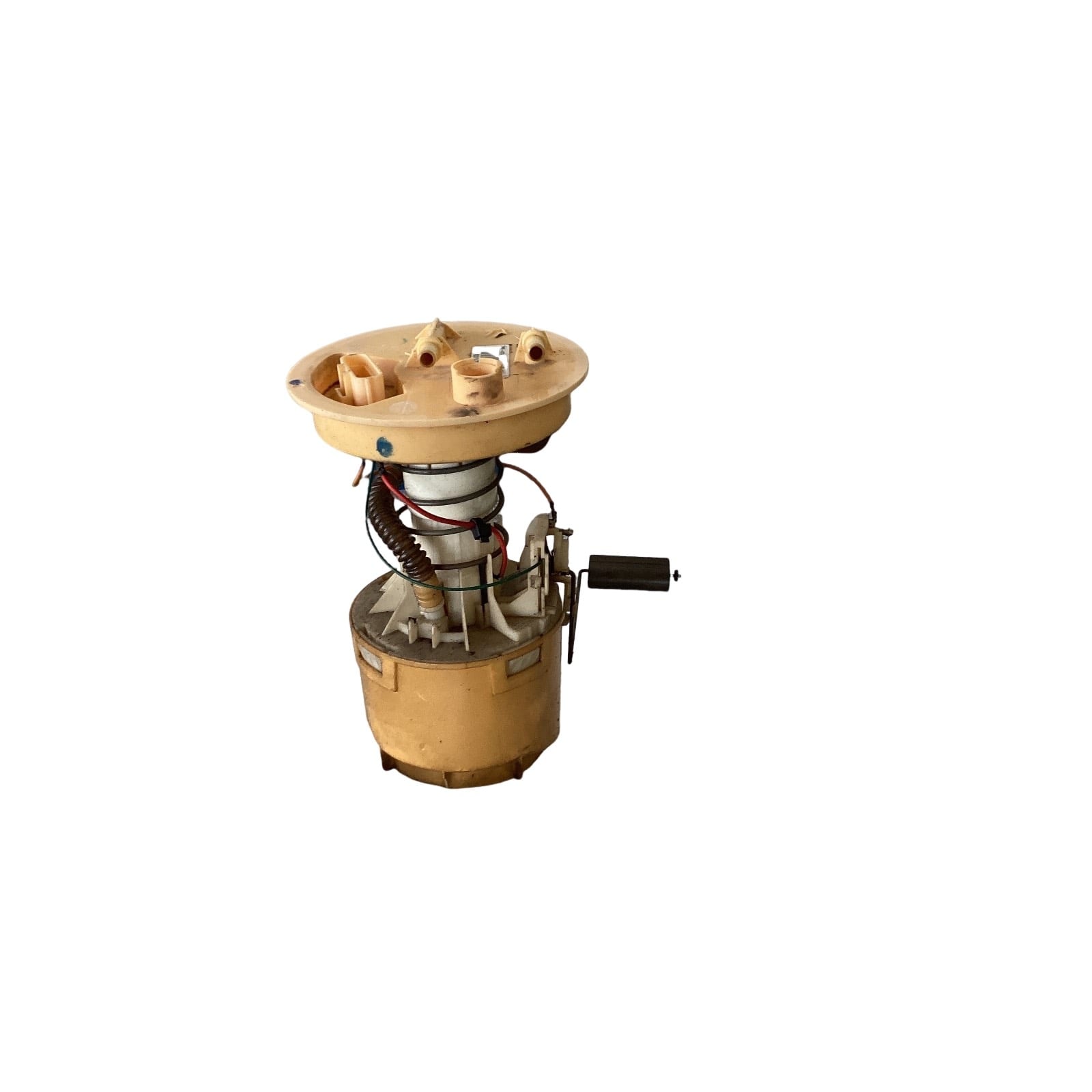 Miniatura 3
