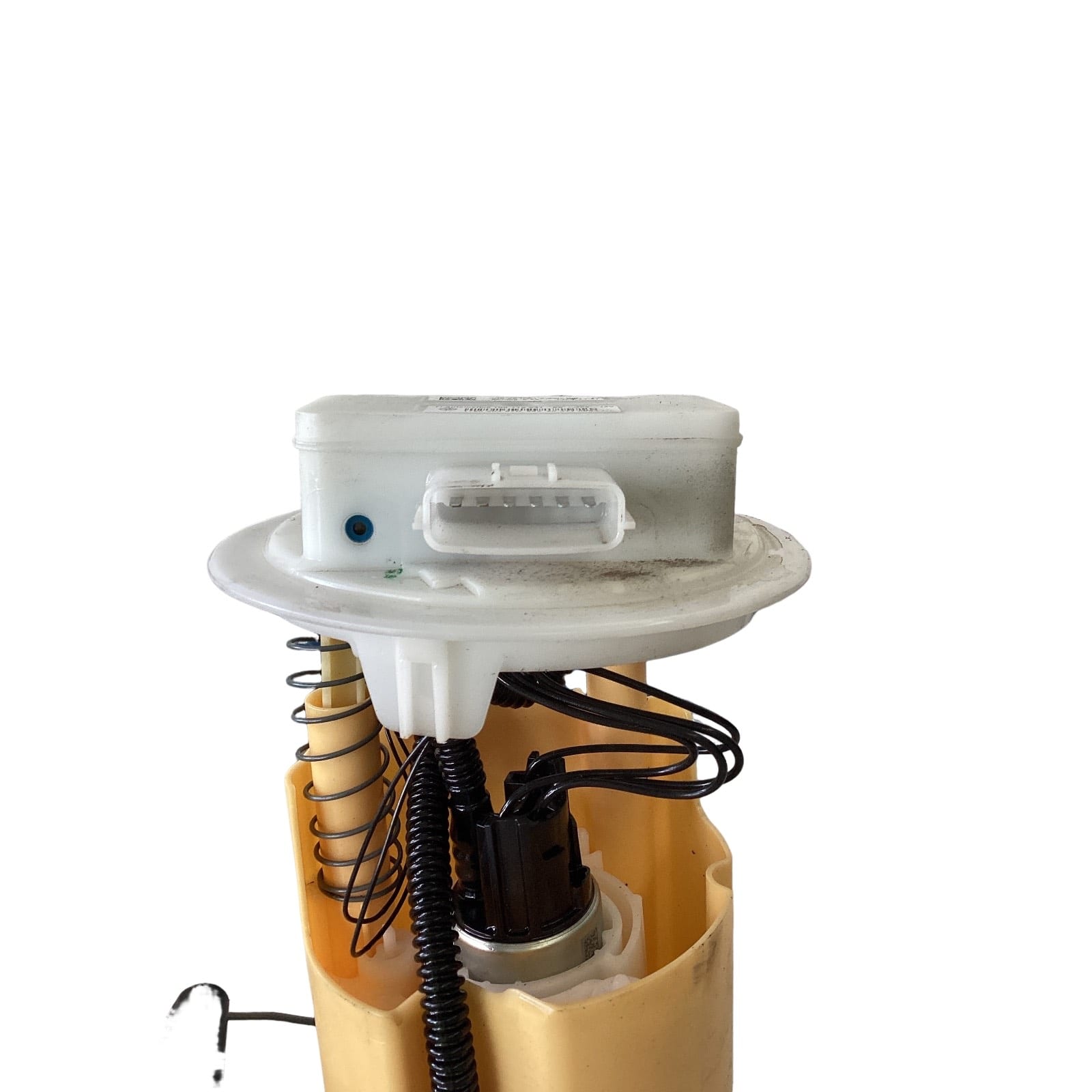 Miniatura 7