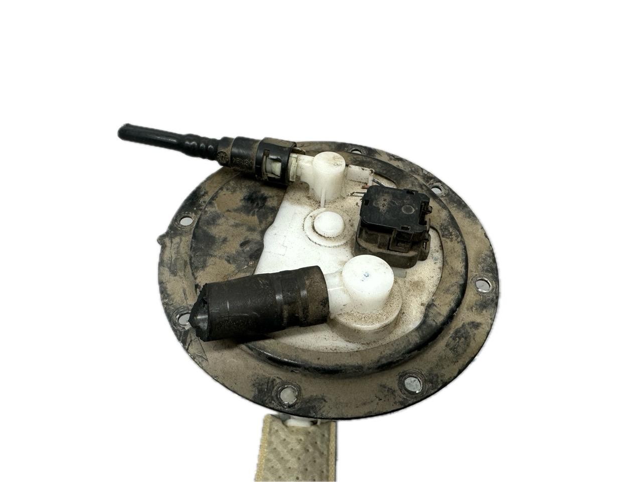 Miniatura 2