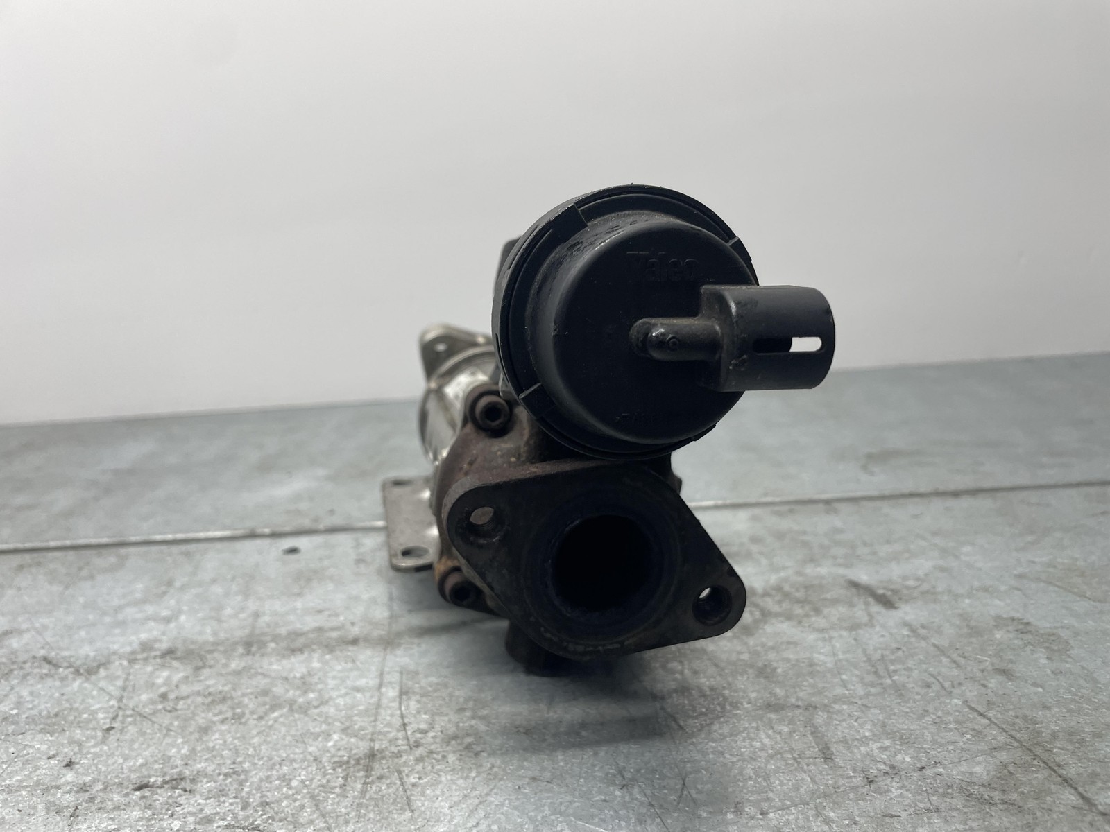 Miniatura 6