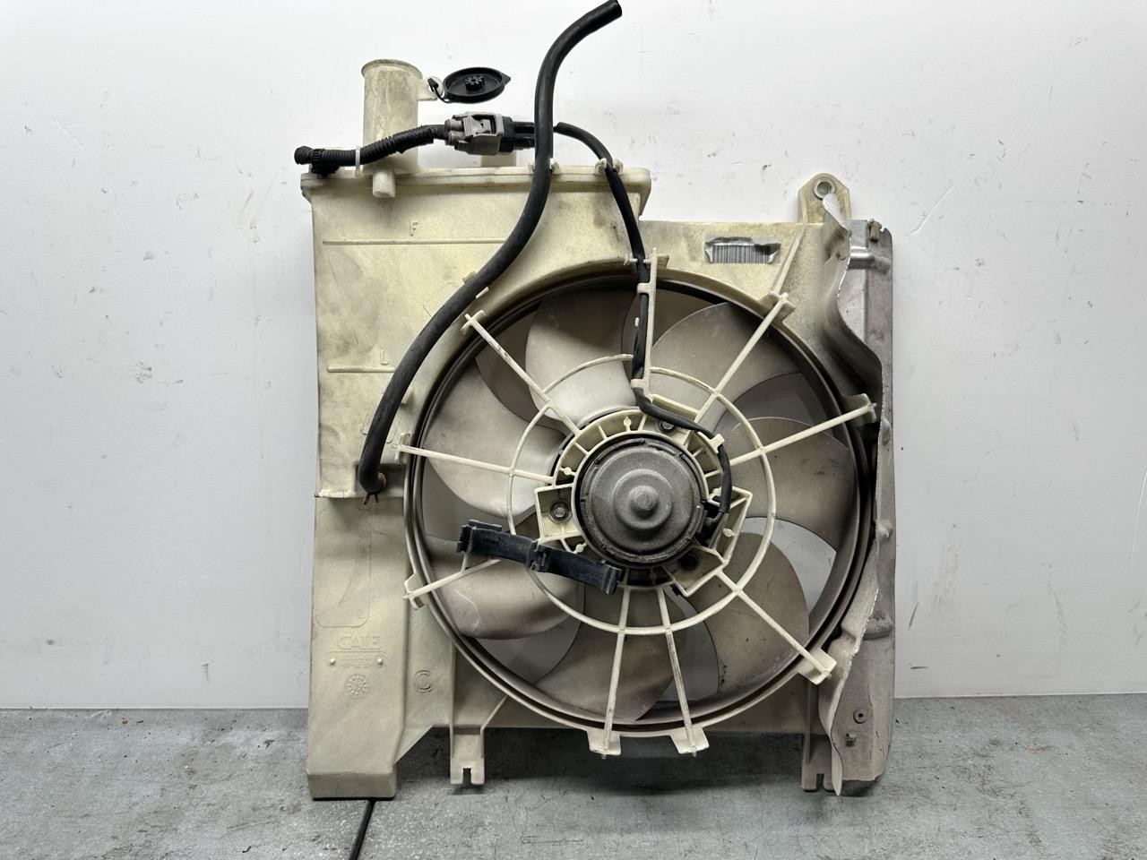 Ventola radiatore - Immagine 1 di 3