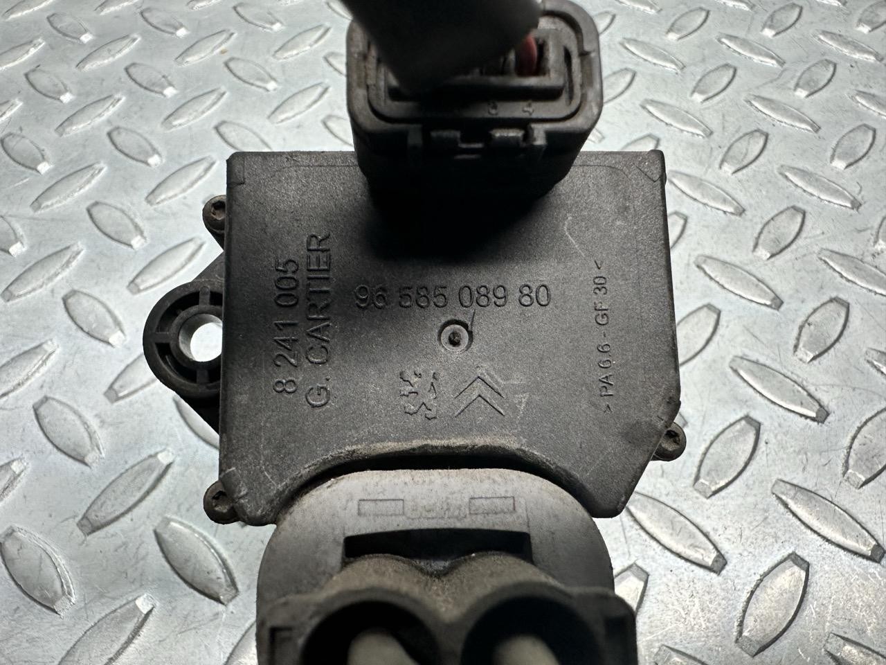 Miniatura 3