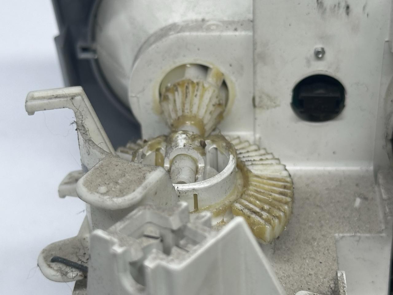 Miniatura 9