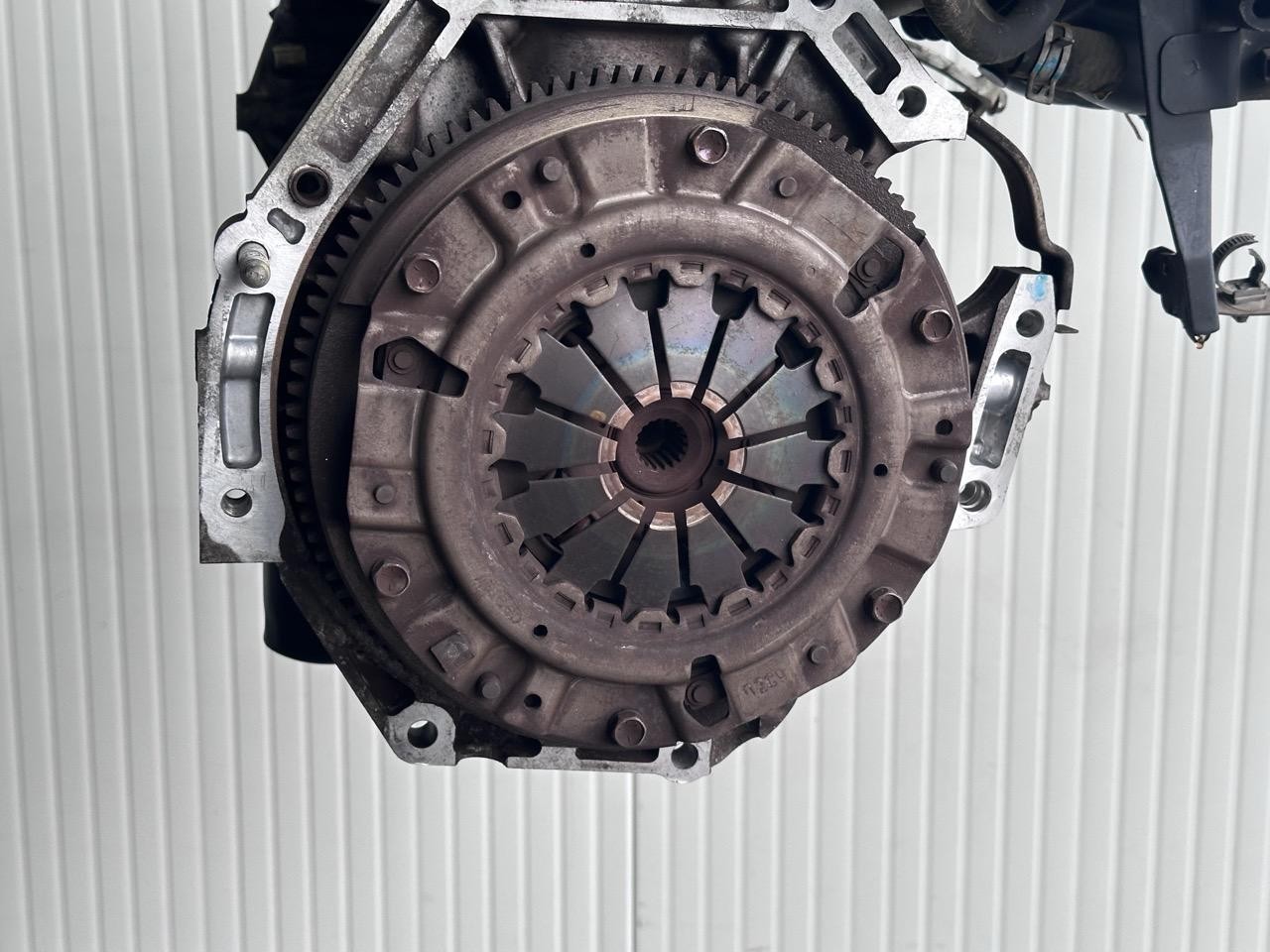 Miniatura 8