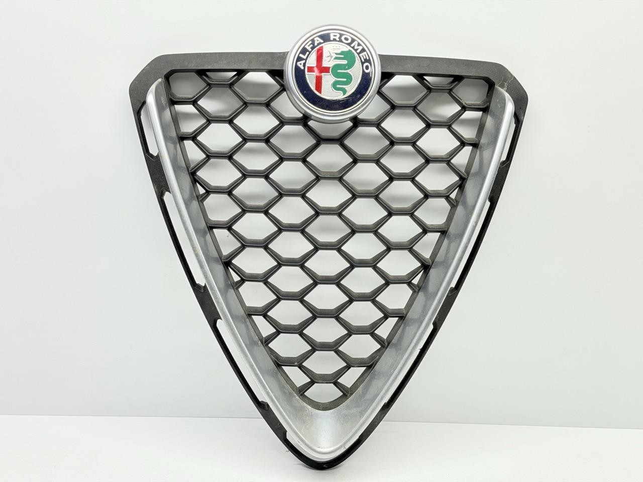 Mascherina anteriore - Immagine 1 di 14