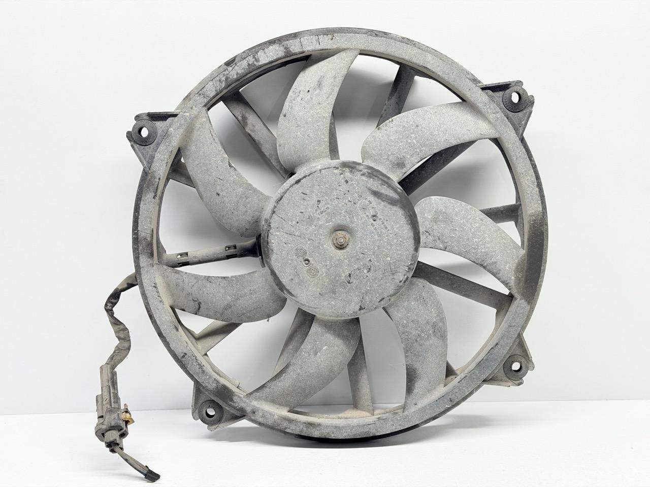 Miniatura 8