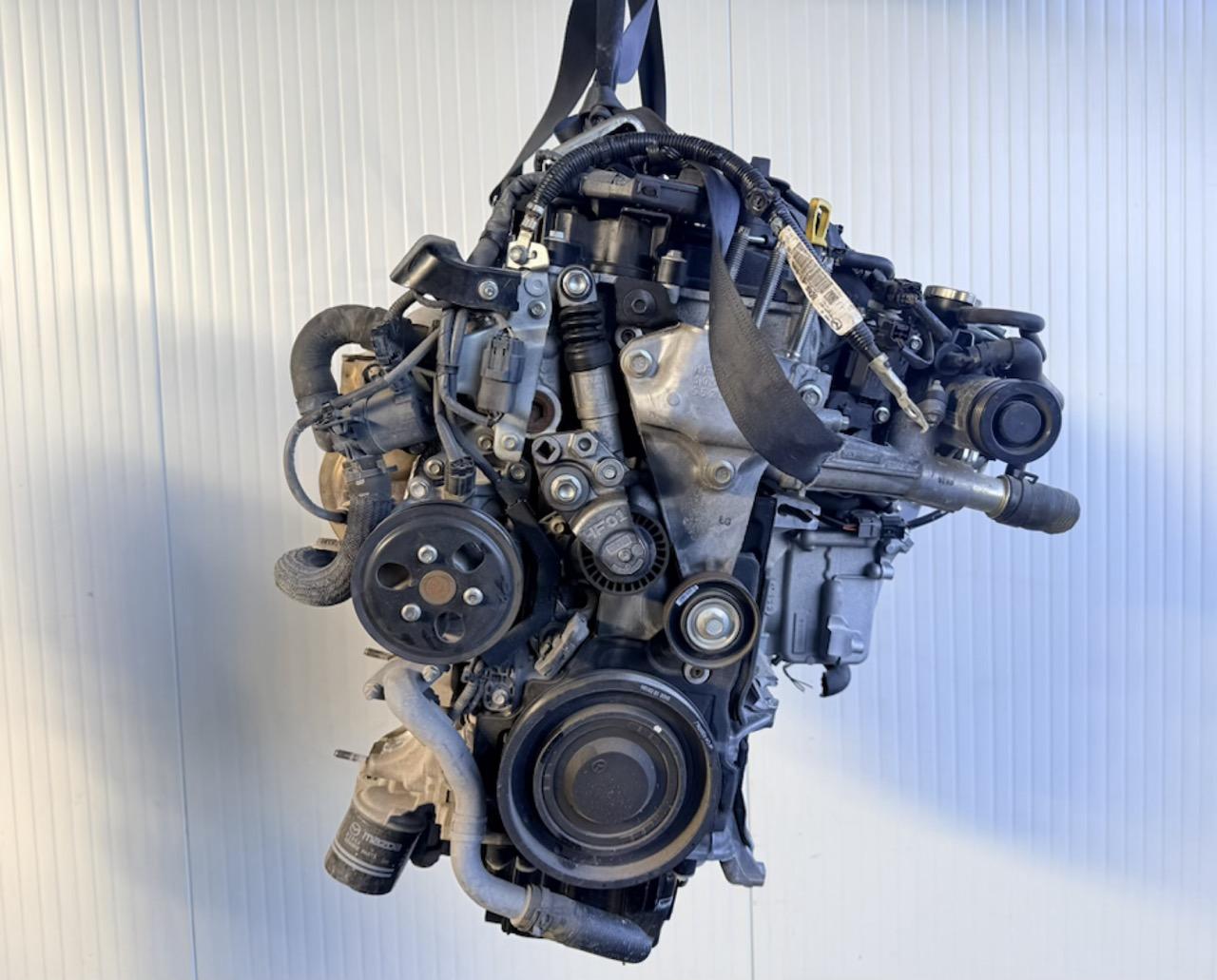 Miniatura 6