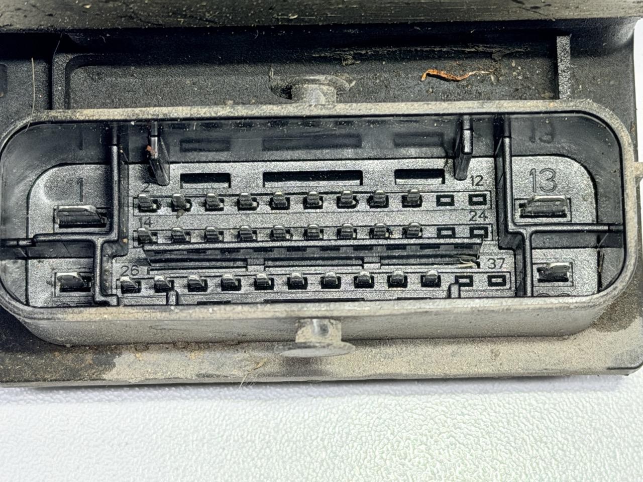 Miniatura 8