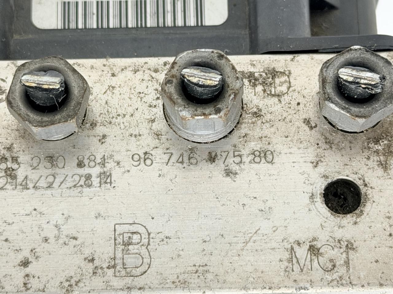 Miniatura 6