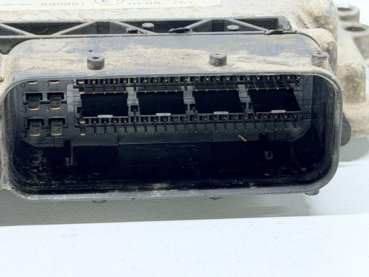 Miniatura 6