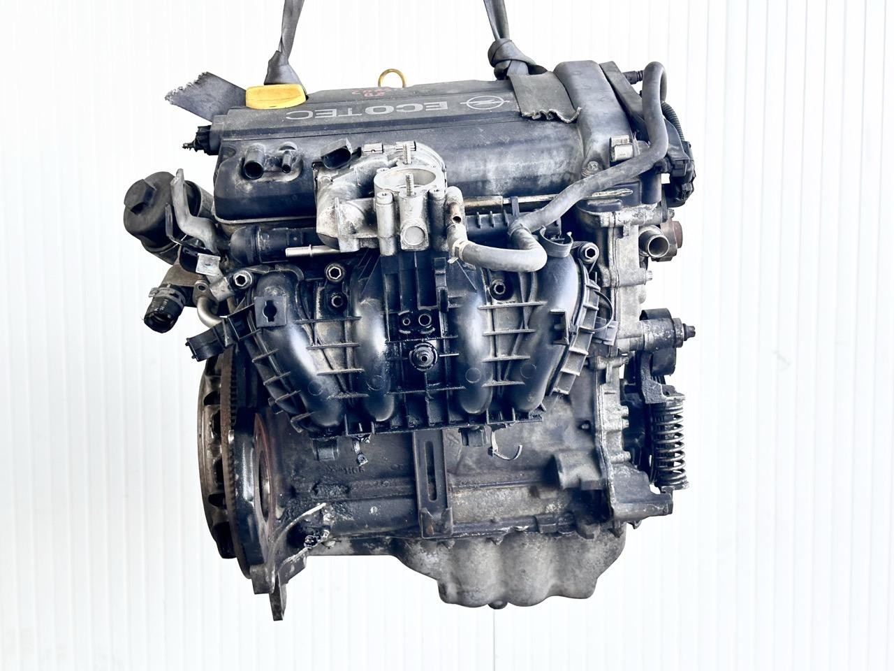 Miniatura 12