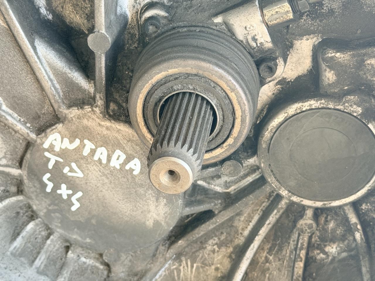 Miniatura 7