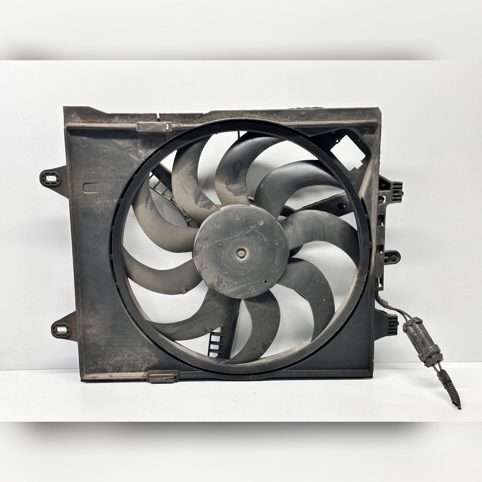 Miniatura 5