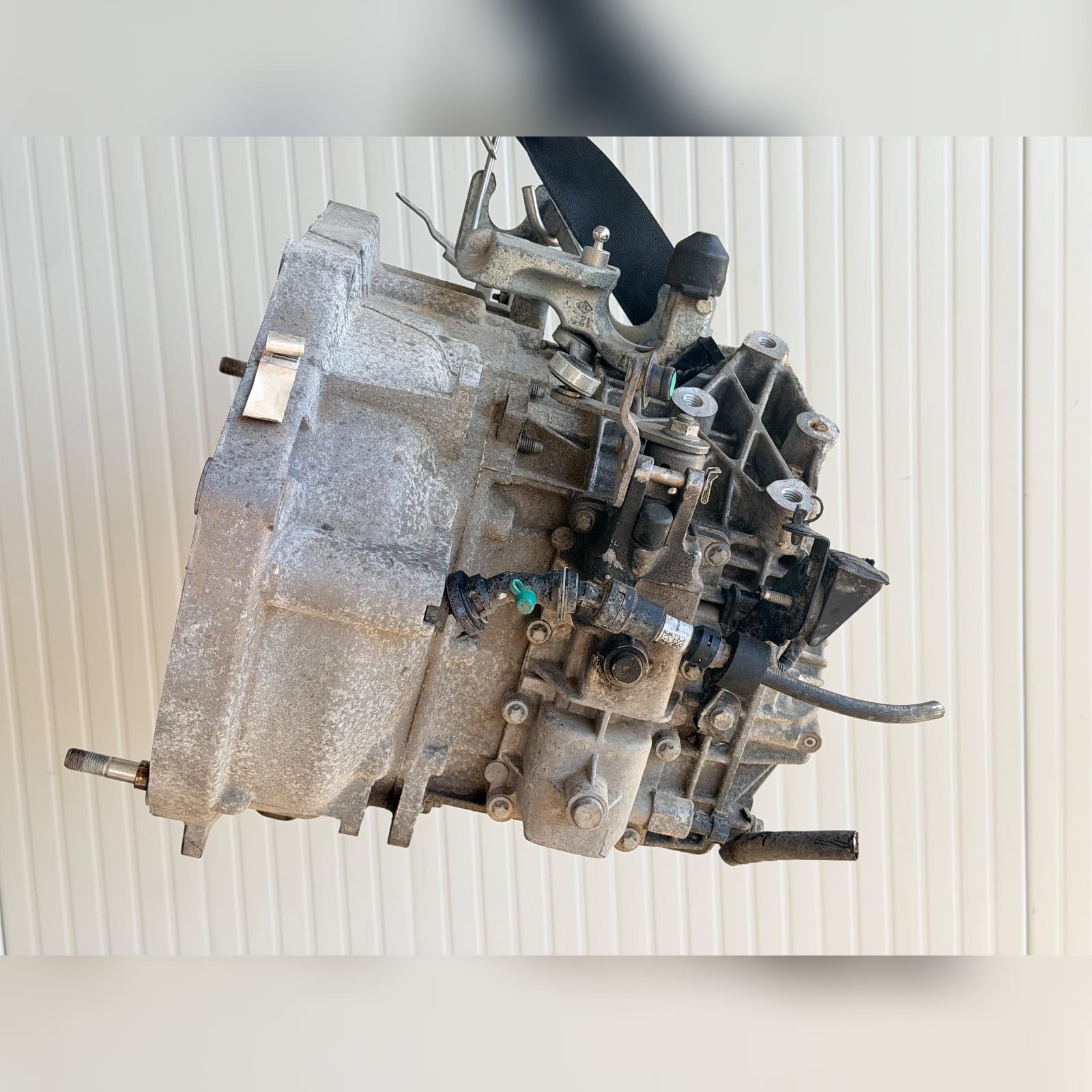 Miniatura 5