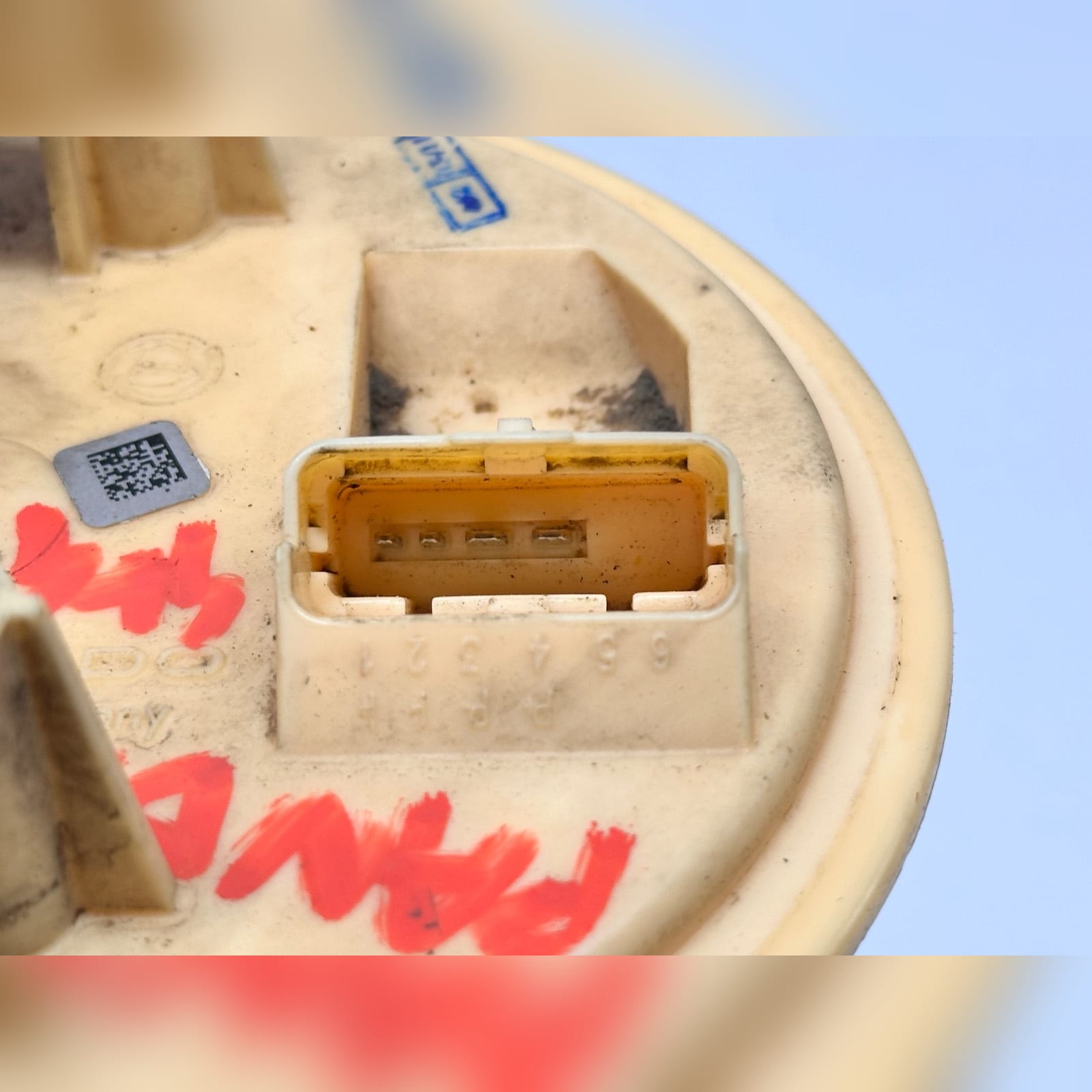 Miniatura 5