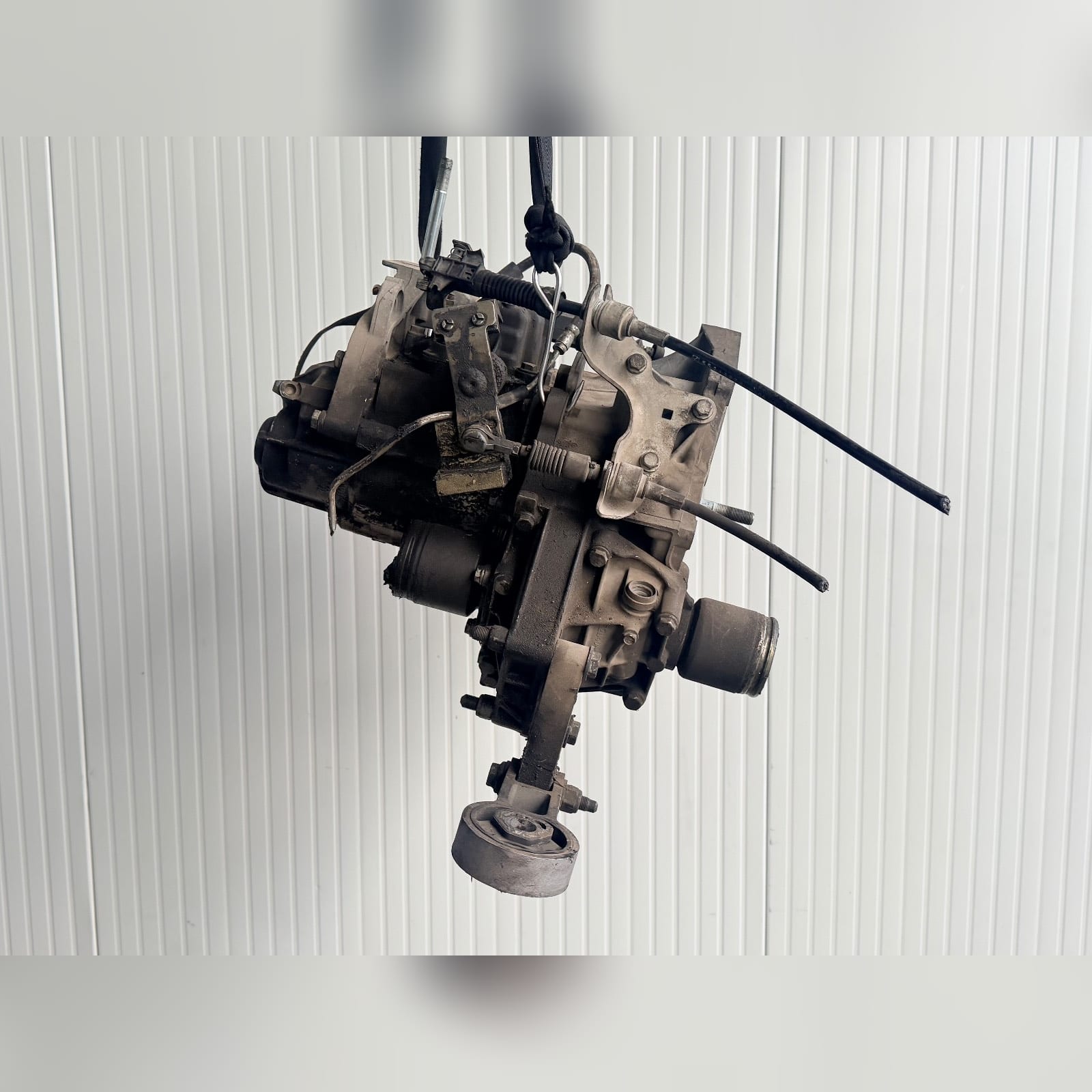 Miniatura 8