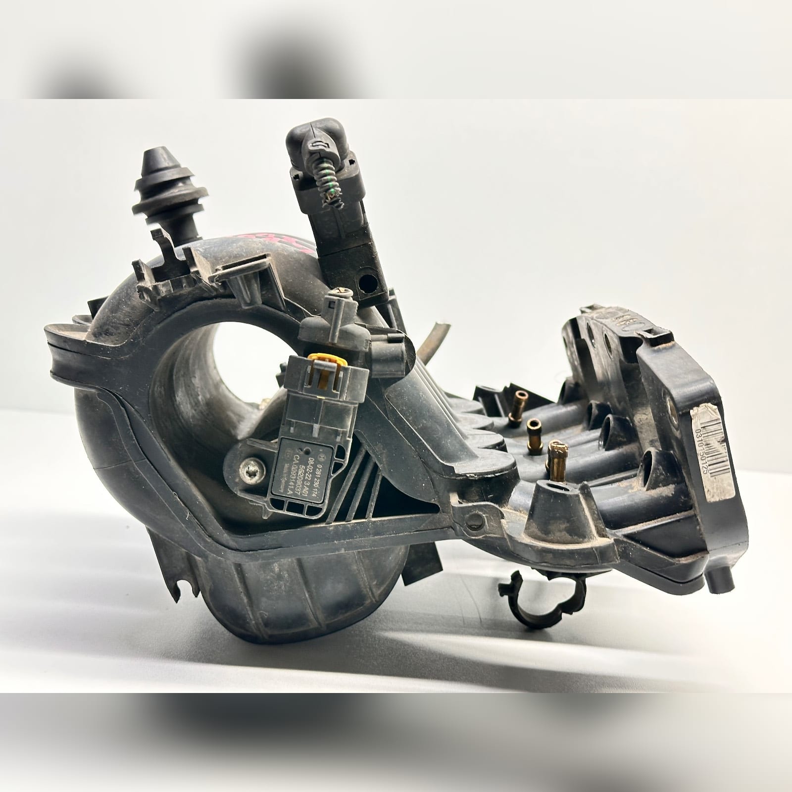 Miniatura 2
